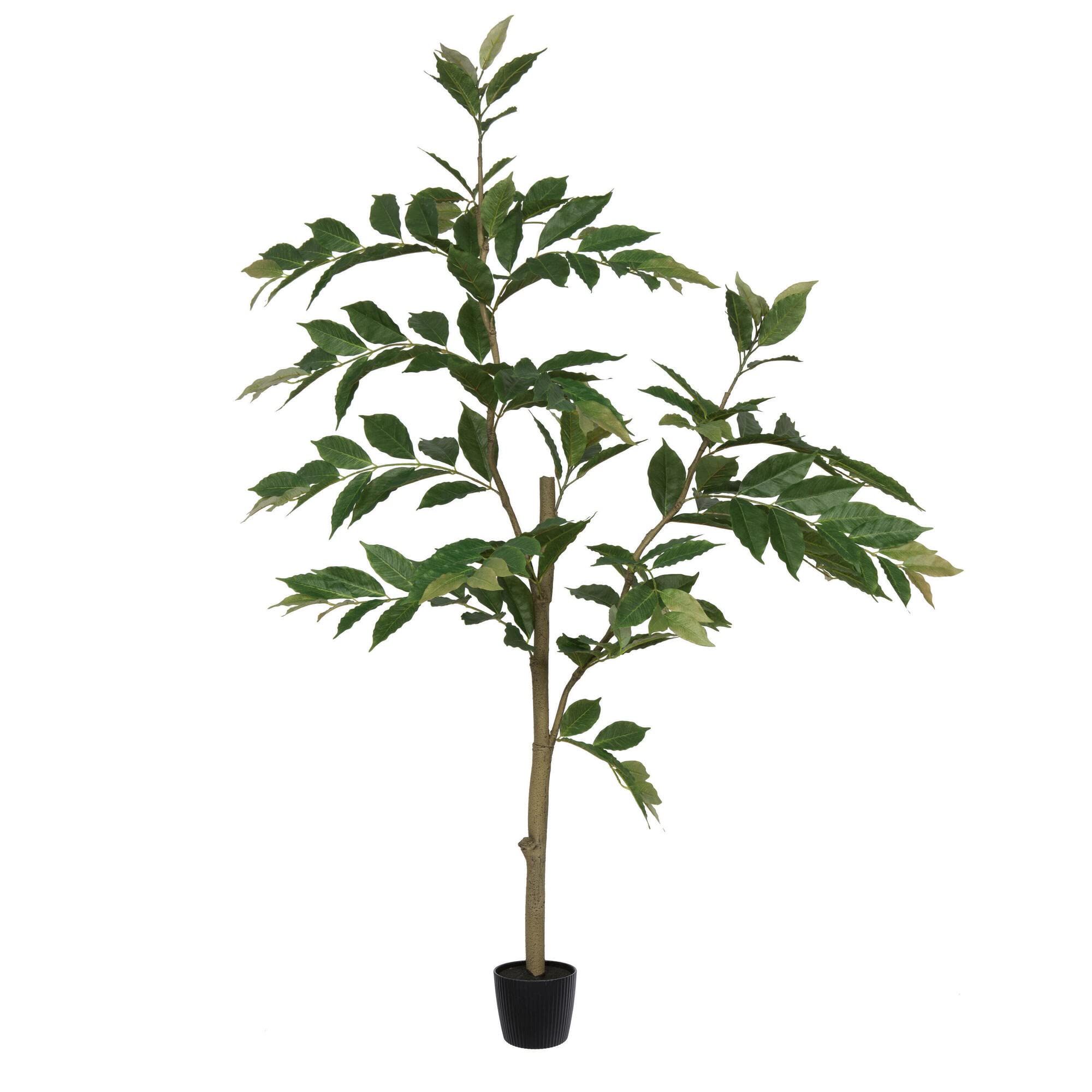 Vickerman Everyday 5' Artificial Green Potted Nandina Tree with 226 Leaves - Lifelike Home Or Office Decor - Premium Faux Potted Tree - Maintenance Free