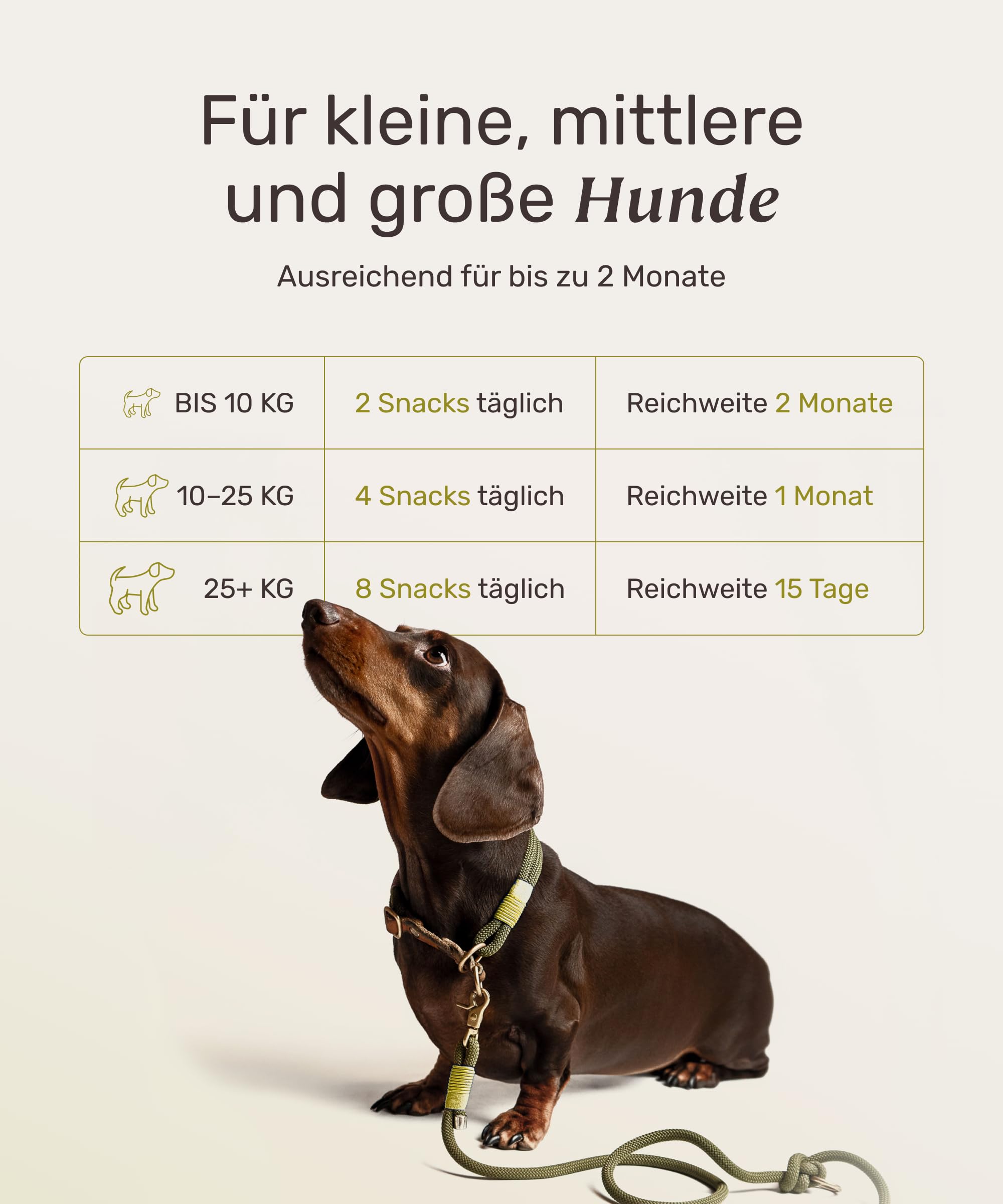 mammaly URO Hero® Harnwege-Komplex mit Algenöl & Naturmoor (bis 60 Tage) | mit 120 Snacks für Niere & Blase, Renal - mit Probiotika, Omega 3 - DLG zertifiziert - mit Tierärzten entwickelt