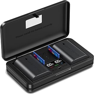 DMW-BLK22 2000mAh Batterien, Akku Multifunktionsladegerät Set (inkl. Zwei DMW-BLK22 Akkus) kompatibel mit Panasonic Lumix DC-S5/ II/IIX, GH5 II, GH6, S5II, S5IIX, S5M2, S5M2X, GH5M2, etc