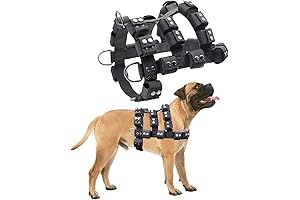 Adjustable Weighted Dog Vest for Strength Building