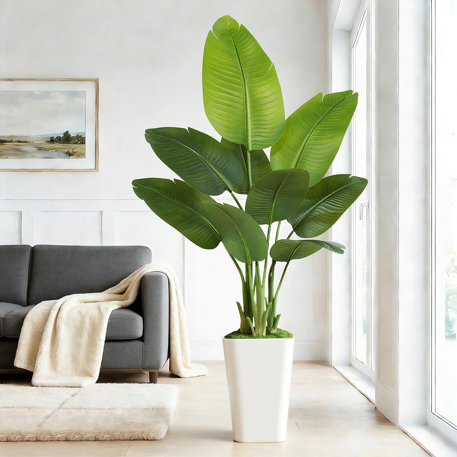 PIANTE IN VASO Finto Al Coperto Composizioni Floreali Primaverili