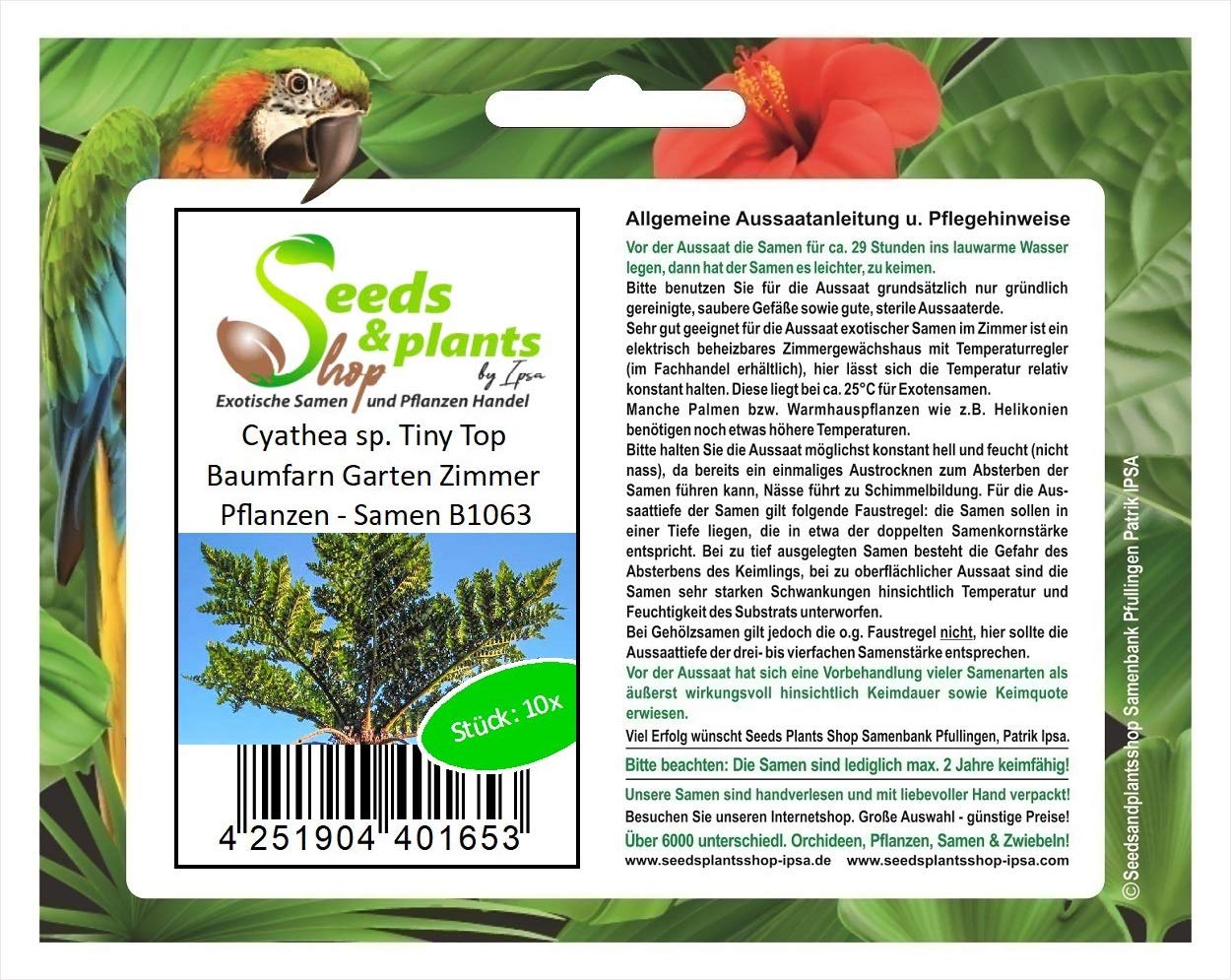 Pcs - 10x Cyathea Sp. Tiny Top Fougère Arborescente Jardin Chambre Plantes - Graines B1063 - Seeds & Plants Shop by Ipsa