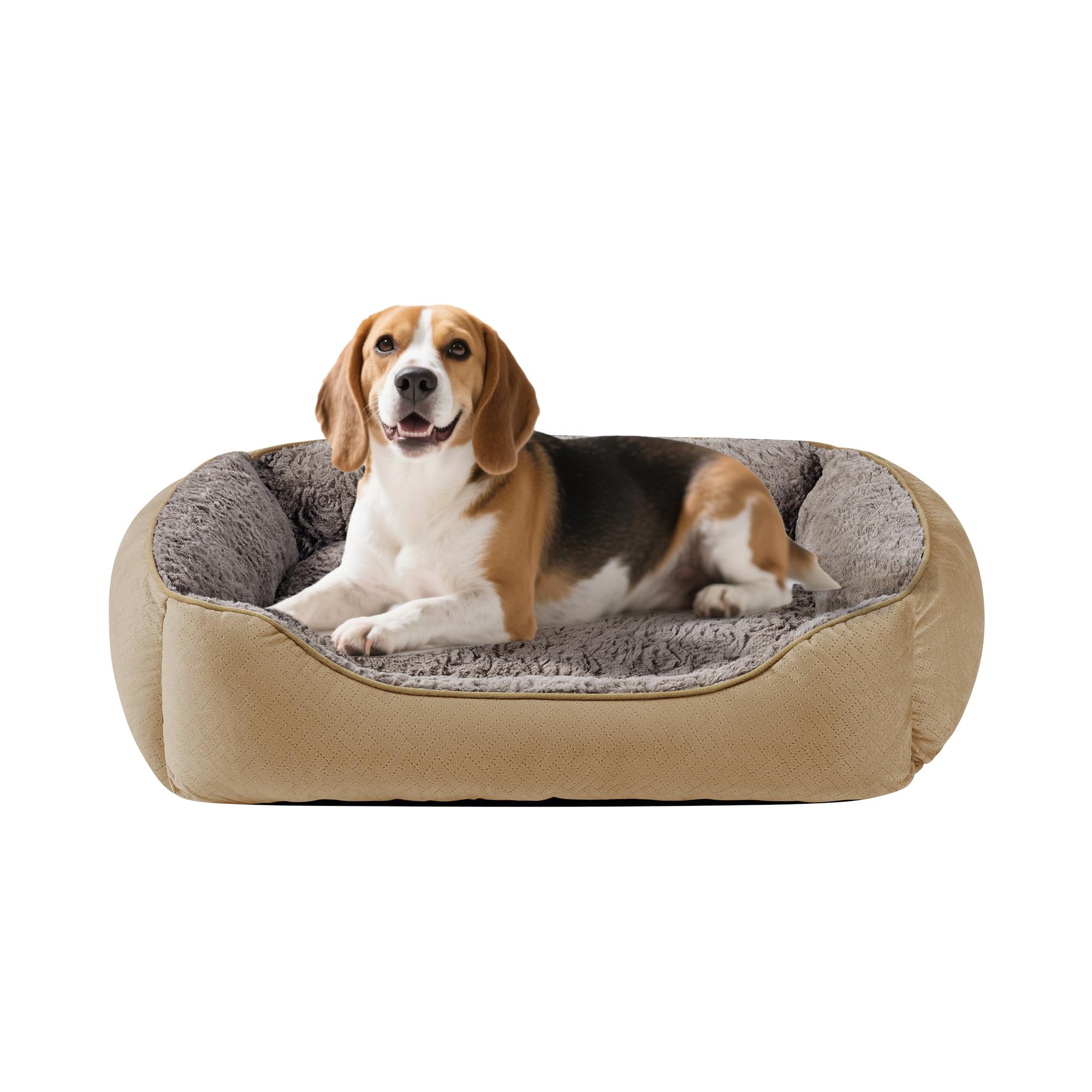 Oveppy Dog Bed for Medium Dogs Super Soft Rectangle Dog Beds, Washable Warming Pet Bed with Anti-Slip Bottom, Brown