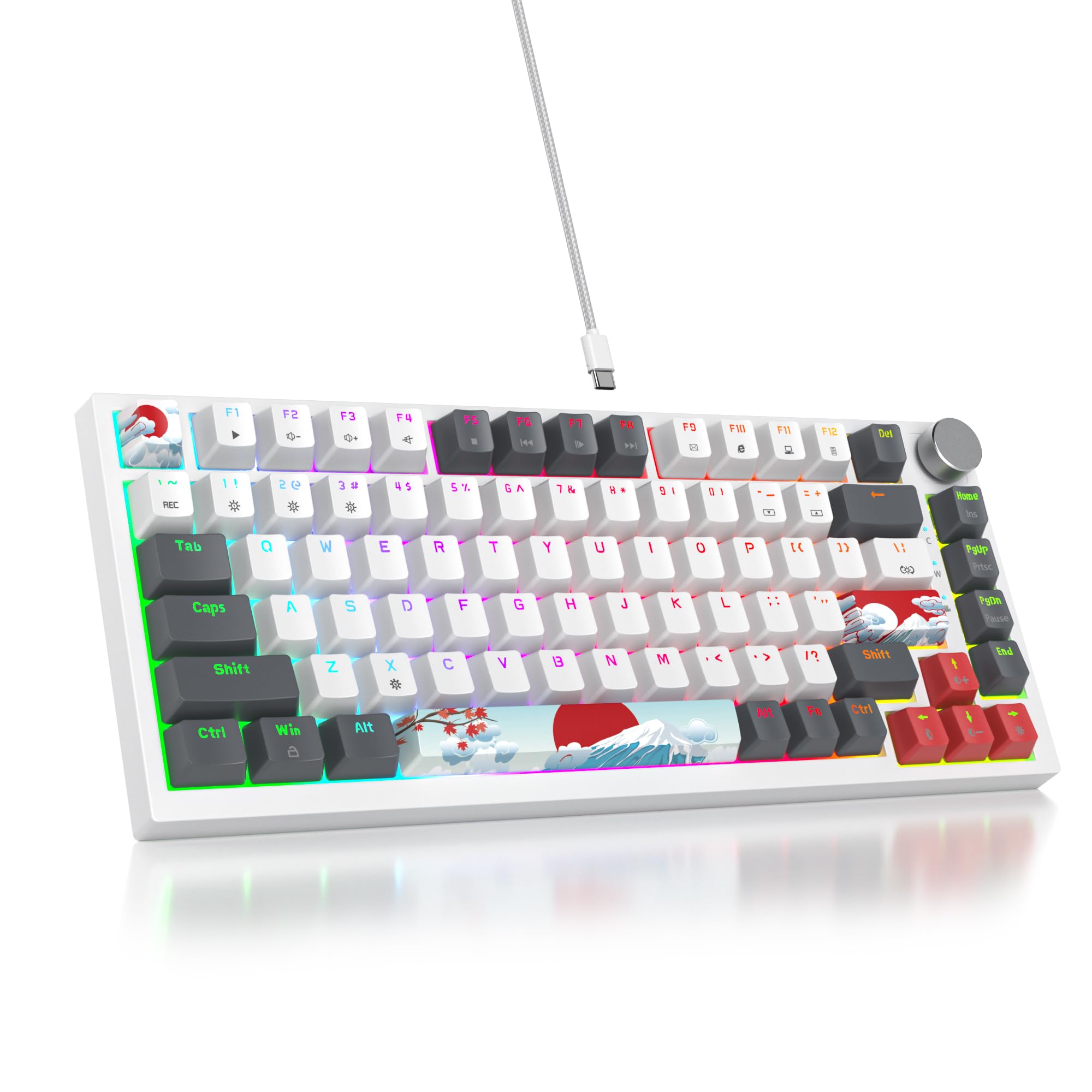 SOLIDEE Tastiera Meccanica Sostituibile a Caldo cablata al 75%,retroilluminazione RGB con interruttore rosso,TKL a 82 tasti,tastiera compatta NKRO con manopola di controllo del volume(82 Grey_White)