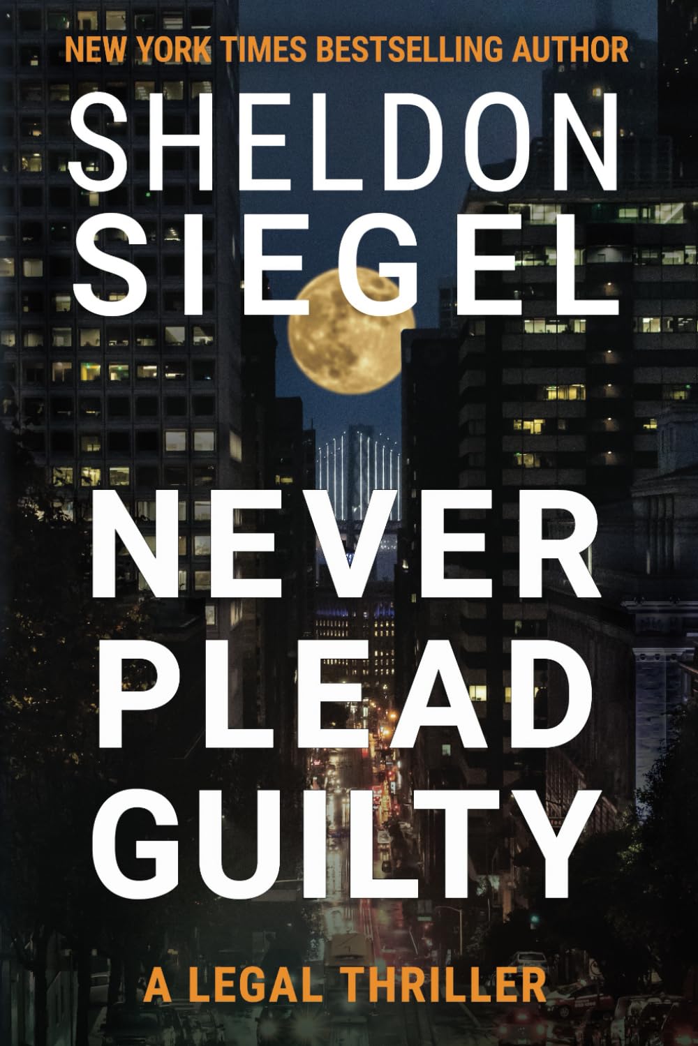 Never Plead Guilty: 17 (Mike Daley/Rosie Fernandez Legal Thriller)