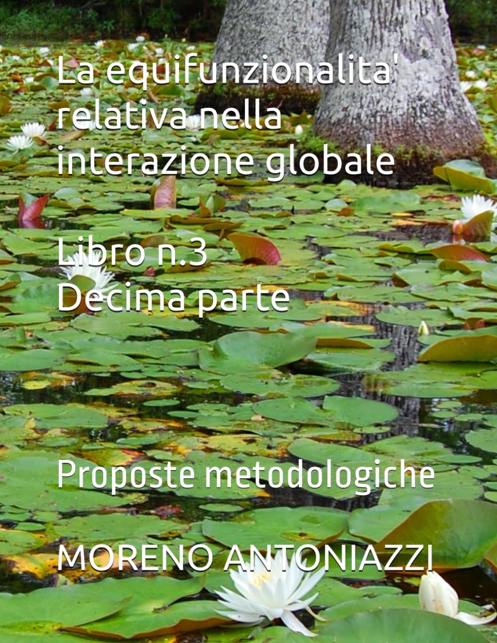La equifunzionalita' relativa nella interazione globale Libro n.3 Decima parte: Proposte metodologiche (Studi e ricerche su Inquinamento contaminazione equifunzionalita':leggi naturali)