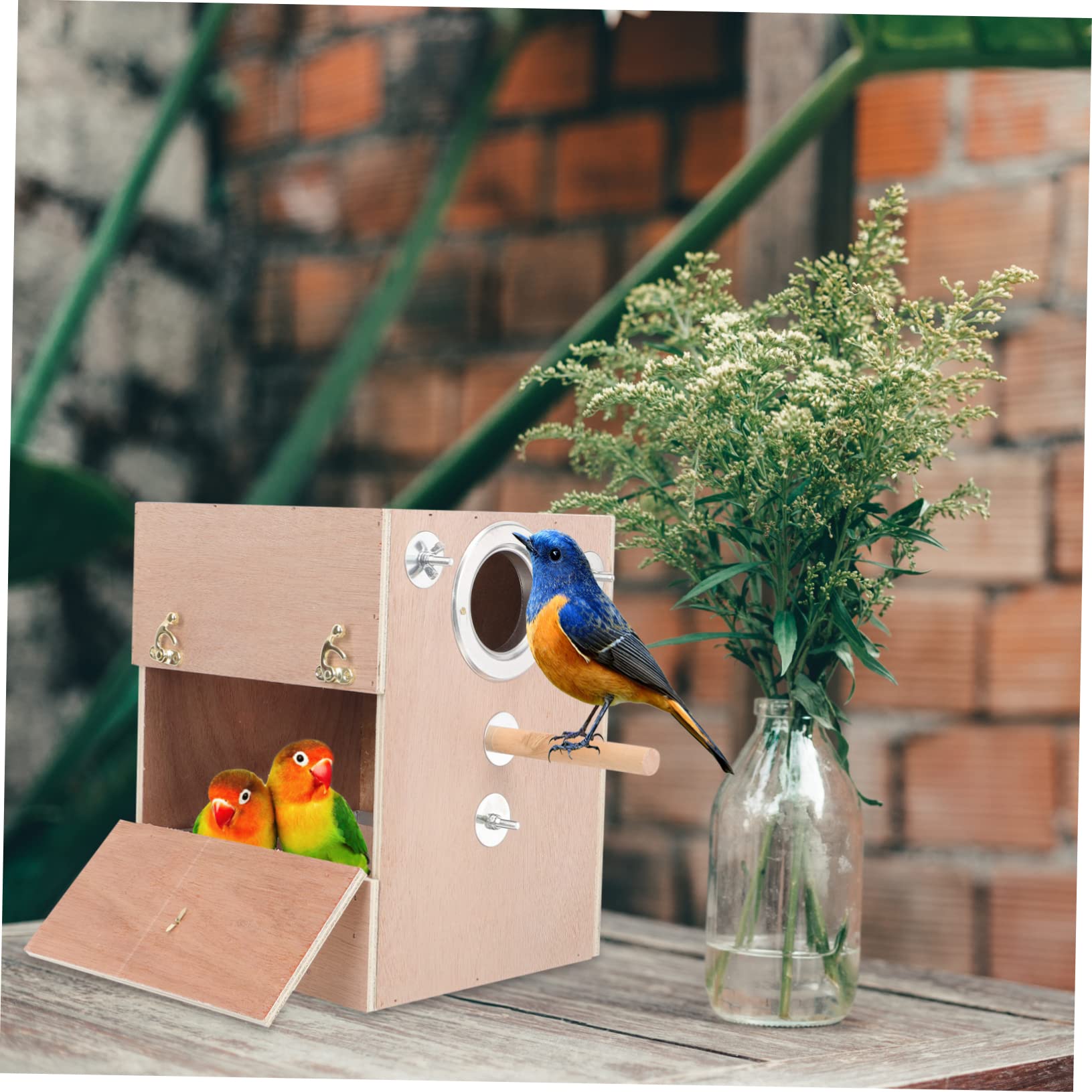Angoily Nichoir en Bois pour Perroquets Et Petits Oiseaux Nichoir pour Perruches Et Oiseaux