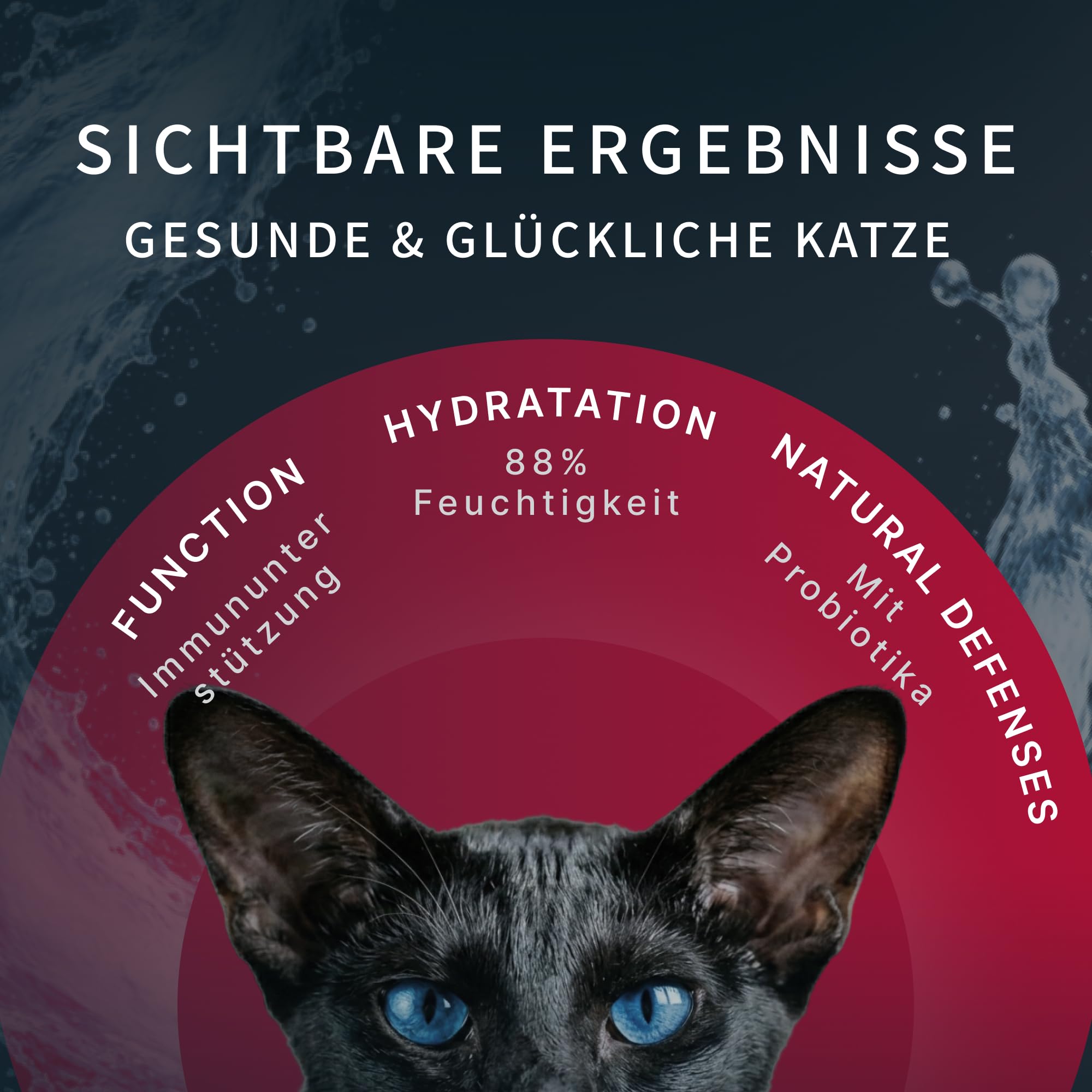 Katzenfutter Nass Mousse Rind Thunfisch Unterstützung Gelenke (55g x 12Pack