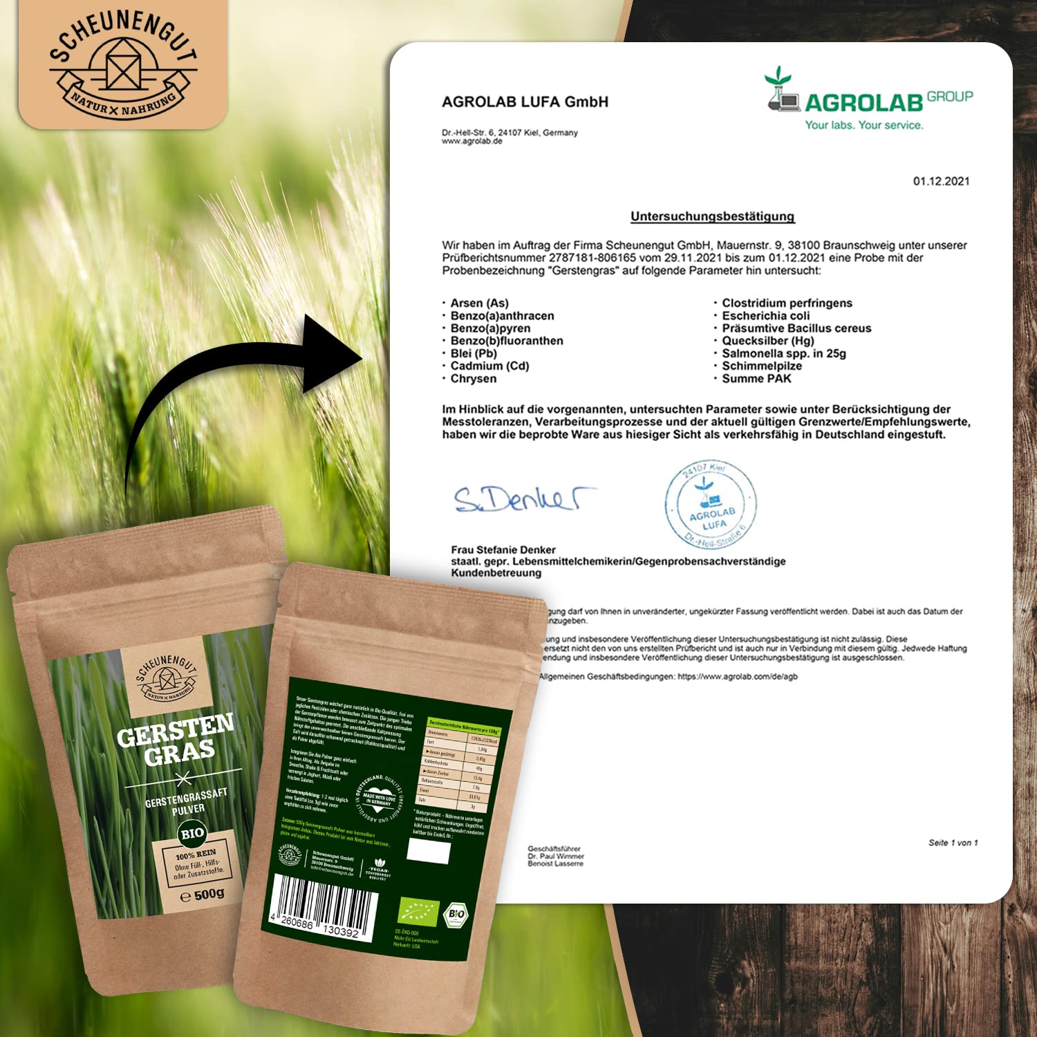 Gerstengrassaft Pulver Bio -WICHTIG: 100% Zertifizierte Bio-Ware aus den USA (500 Gramm) Reines Naturprodukt I Vegan + Laborgeprüft -Deutsche Produktion- SCHEUNENGUT®