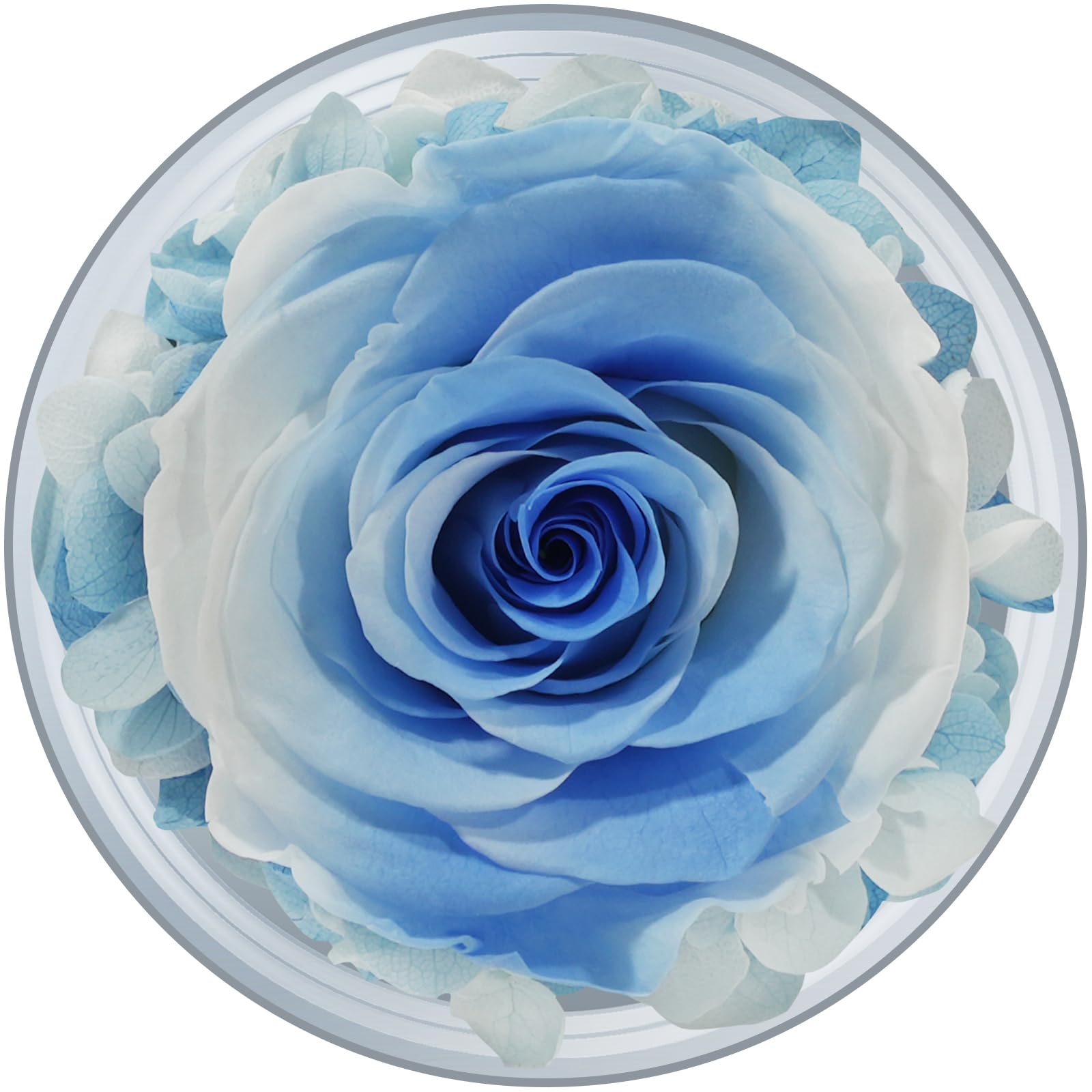 Ange Rose Préservé, Rose Préservée En Verre, Boule À Neige Ange Avec