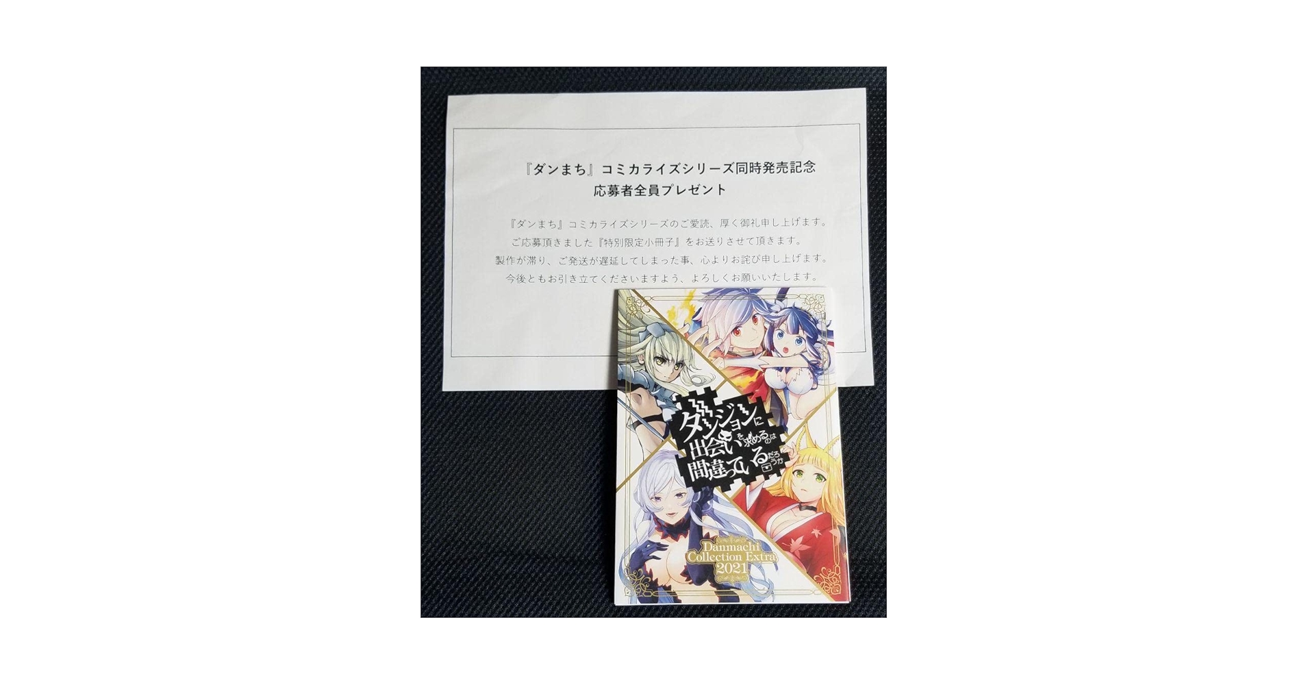 Amazon.co.jp: ダンまち 小冊子 Danmachi Collection Extra 2021 : ホビー