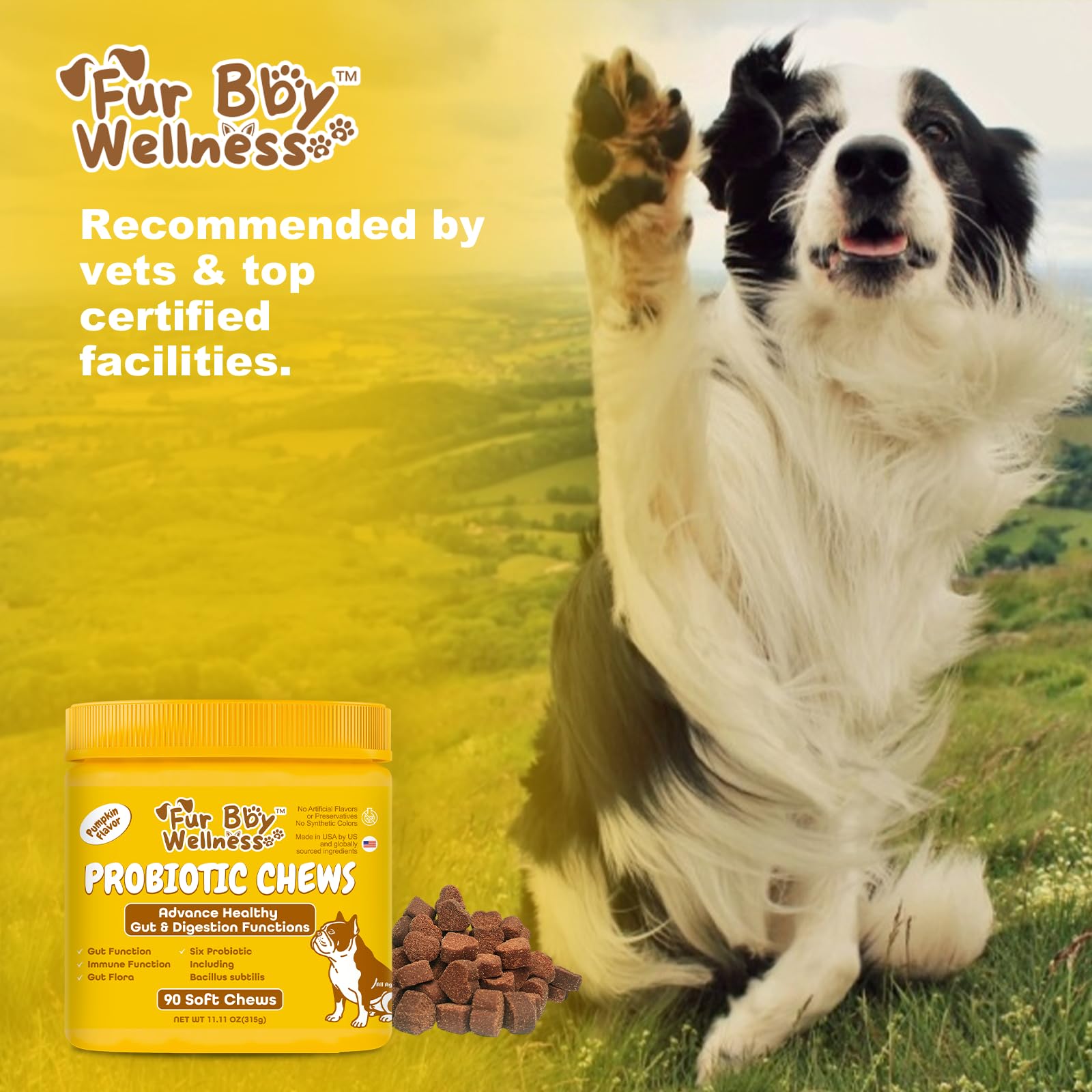 Vet Strength Probiotics for Dogs – Fast Relief for Diarrhea, Gas & Upset Stomach – Maximum Gut, Immune & Allergy Support – Pumpkin Flavor Soft Chews, 90 Count - image 6