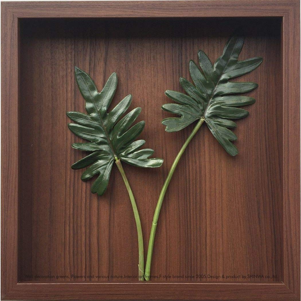 木の葉アート作品 ⭐︎フレーム付き Amazon.co.jp: リーフアートフレーム[カフェ インテリア]F-style Frame