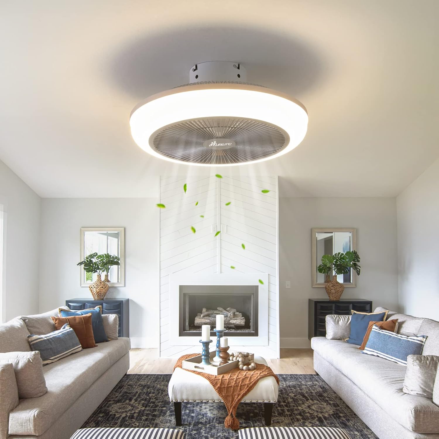 Comparison Bladeless Ceiling Fan vs. Ceiling Fan