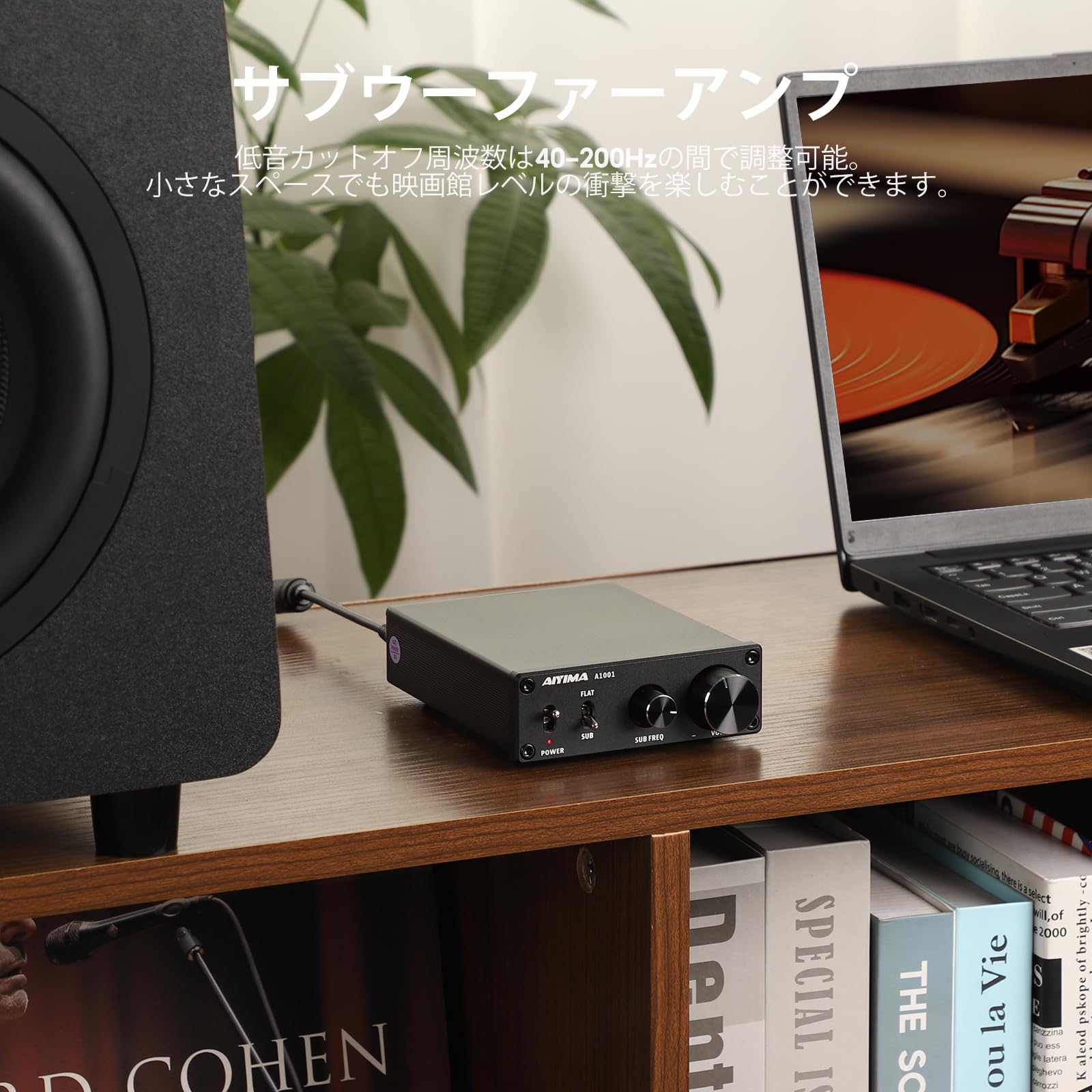 Amazon.co.jp: TPA3116D2 100W Subwoofer Amplifier Class D HiFi Mono