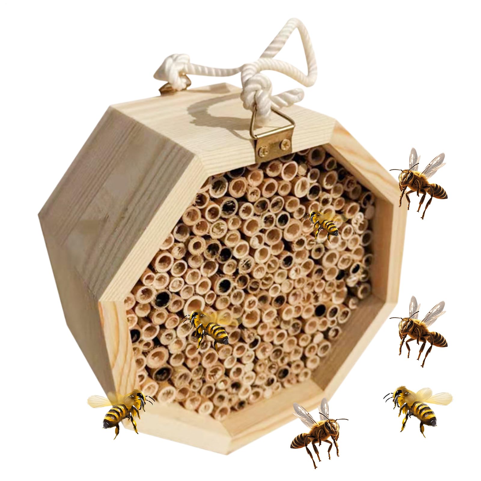 Palais pollinisant et hôtel d'abeilles en bois pour habitat de guêpe