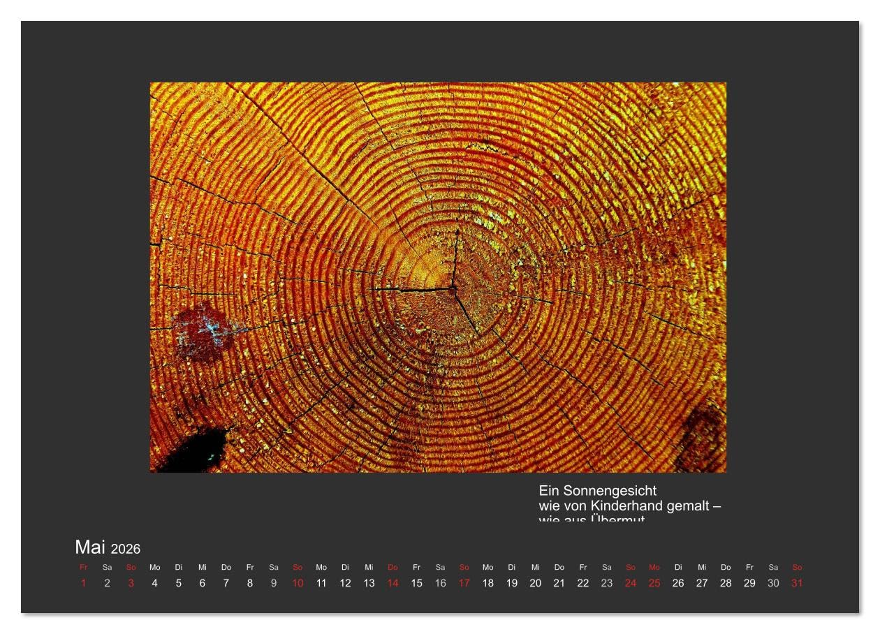 MAGIE HOLZ 2026 (hochwertiger Premium Wandkalender 2026 DIN A2 quer), Kunstdruck in Hochglanz: Holzfotografien mit Haikus (CALVENDO Natur)