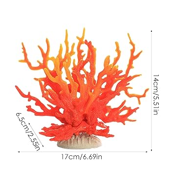 飾りサンゴ テーブルサンゴ 枝サンゴ テーブルサンゴと枝サンゴ 写真素材 [ 32263 ] - フォトライブ