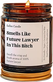 Smells Like Future Lawyer in This Bitch Soy Wax Candle, Funny Lawyer Gift, Law School Acceptance, Bar Exam Gift, Eco Friendly 4Oz 9Oz Amber Candle 9 Scent Options