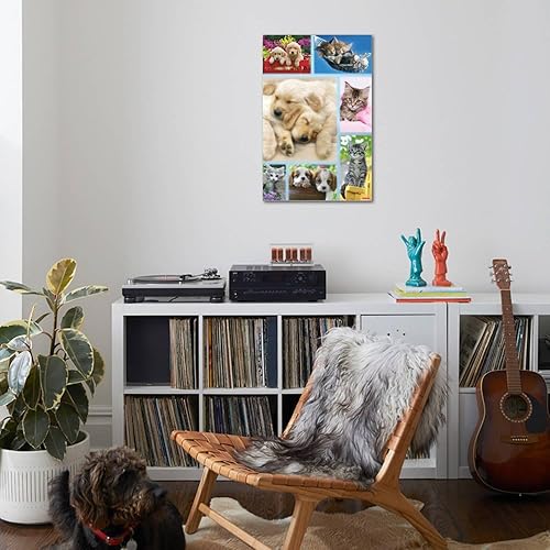 Miniatura 4 de Trends International Keith Kimberlin - Póster de collage de cachorros y gatitos, 22.37 x 34.00 pulgadas, lienzo estirado