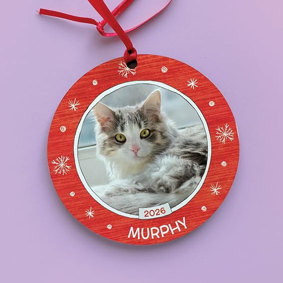 Cat's Name and Photo Personalized Ornament I See Me!