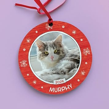 Cat's Name and Photo Personalized Ornament I See Me!