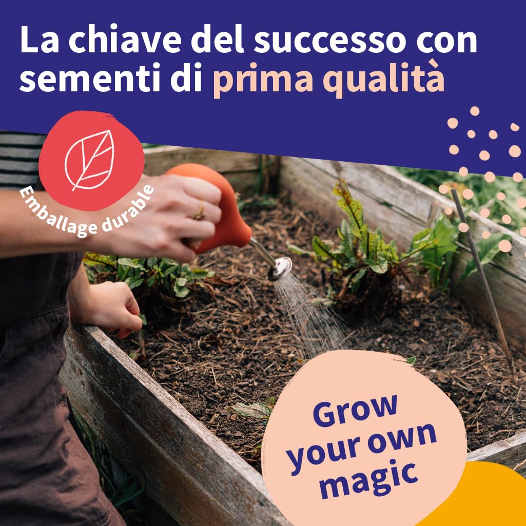 Légumes rares kit cadeau graines 8 variétés