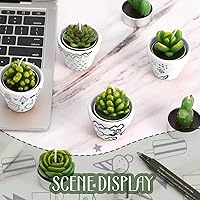 Vista 6 de 12 Piezas Velas de Suculentas Novedosas Hechas a Mano Velas de Té de Cactus Delicadas y con Estilo Velas de Plantas Mini Velas de Cactus