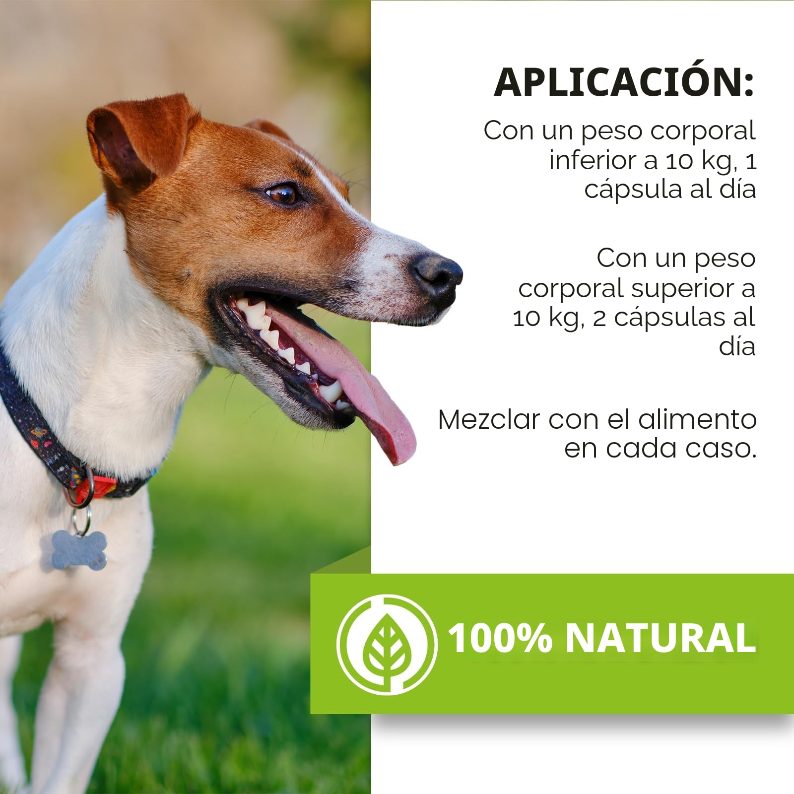 Saint Nutrition® Zeckenix – Pastillas antigarrapatas para perros – Protección contra garrapatas para perros – Complemento alimenticio con ingredientes naturales – Sin aditivos artificiales – 60