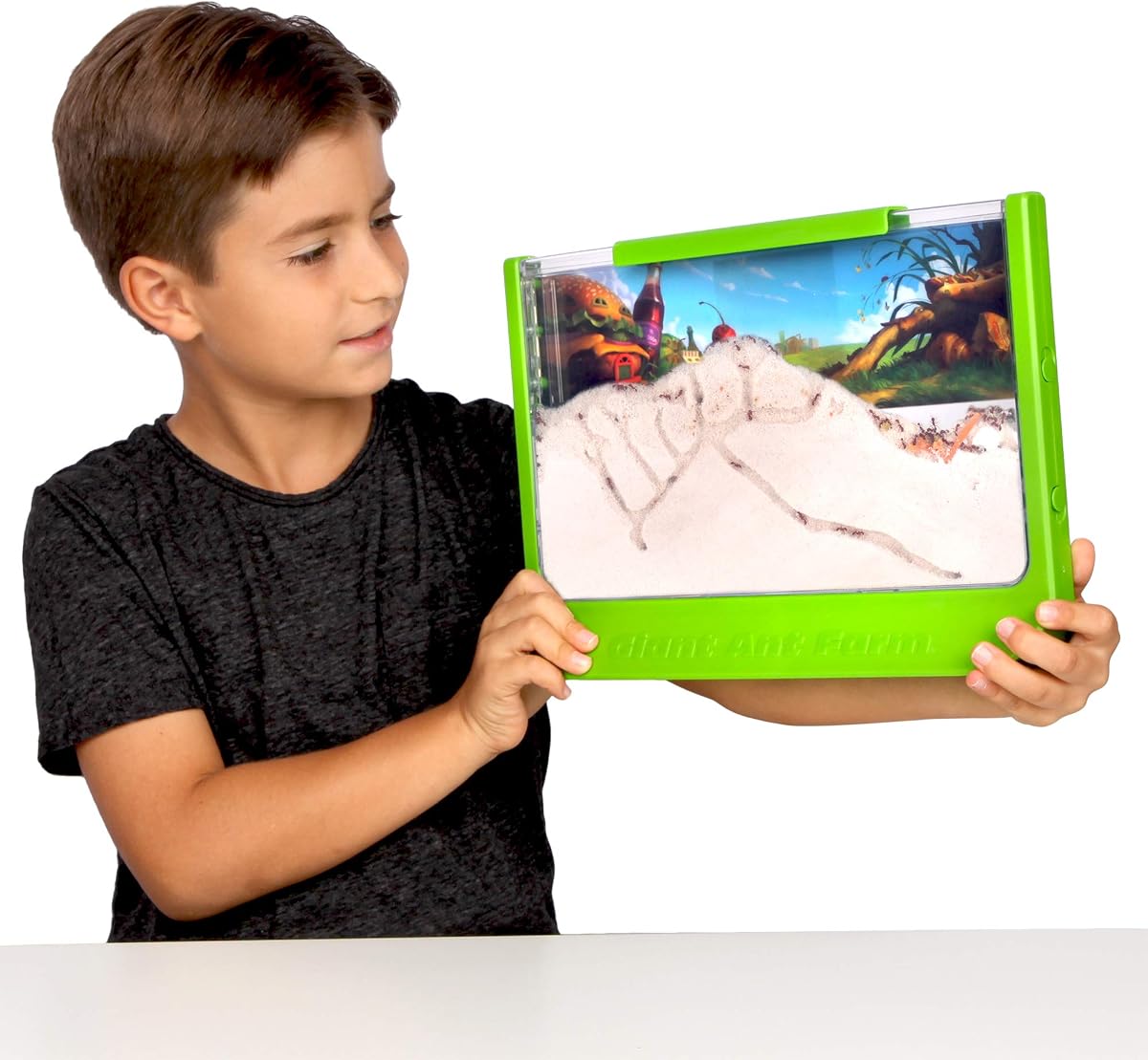 Uncle Milton Giant Ant Farm