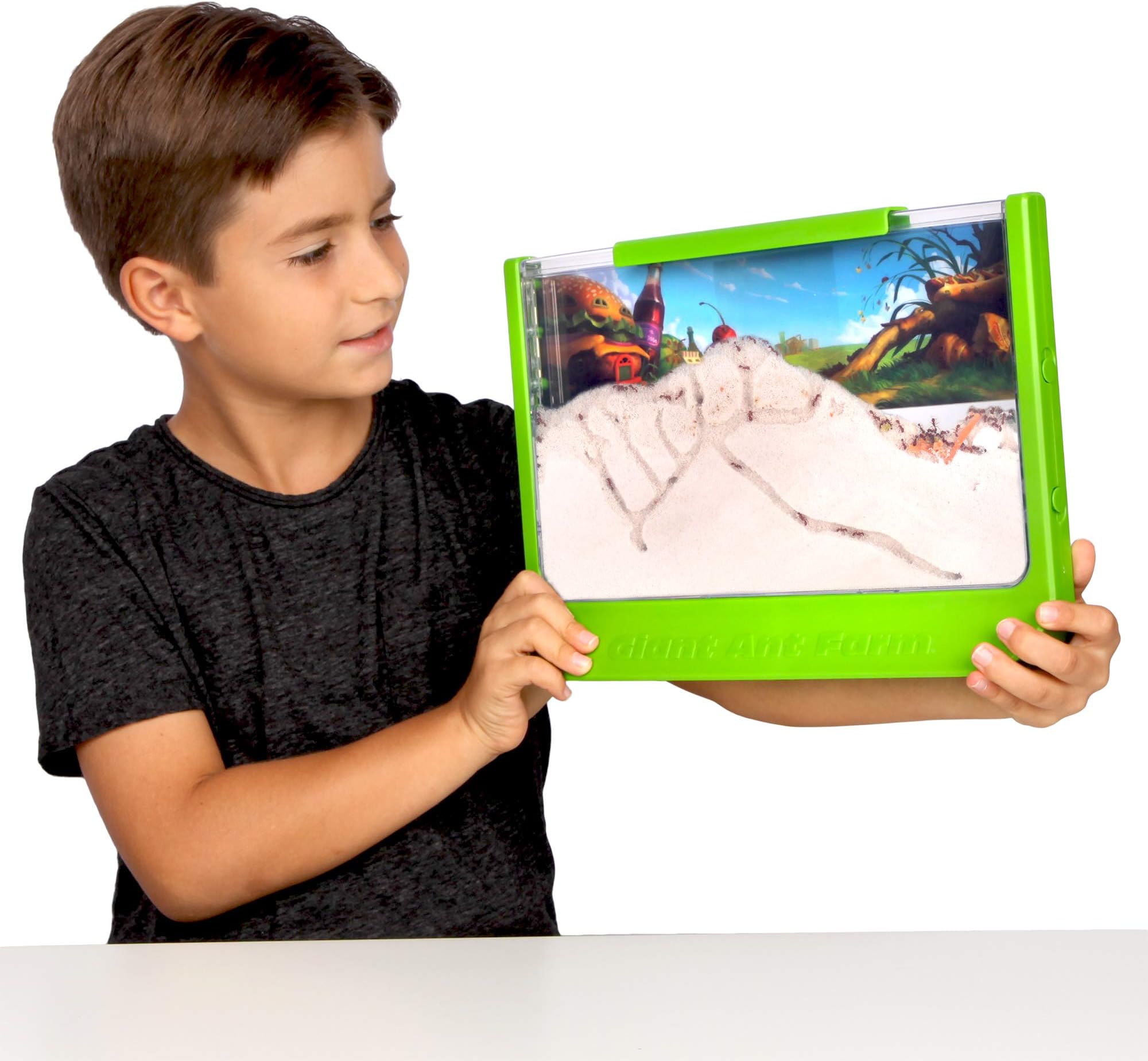 Uncle Milton | Giant Ant Farm | Extra Large Viewing Area with Ant Picnic Scene, Classroom Toy, Classic Kids Educational Toy for Boys and Girls Aged 6+ | Basic Fun 00056