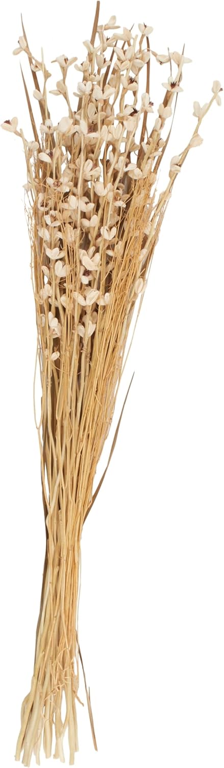 Deco 79 Dried Plant Home Decor Natural Foliage Tall Floral Bouquet Natural Dried Foliage with Brown Stems, Foliage for Decoration 8" x 8" x 41", Cream