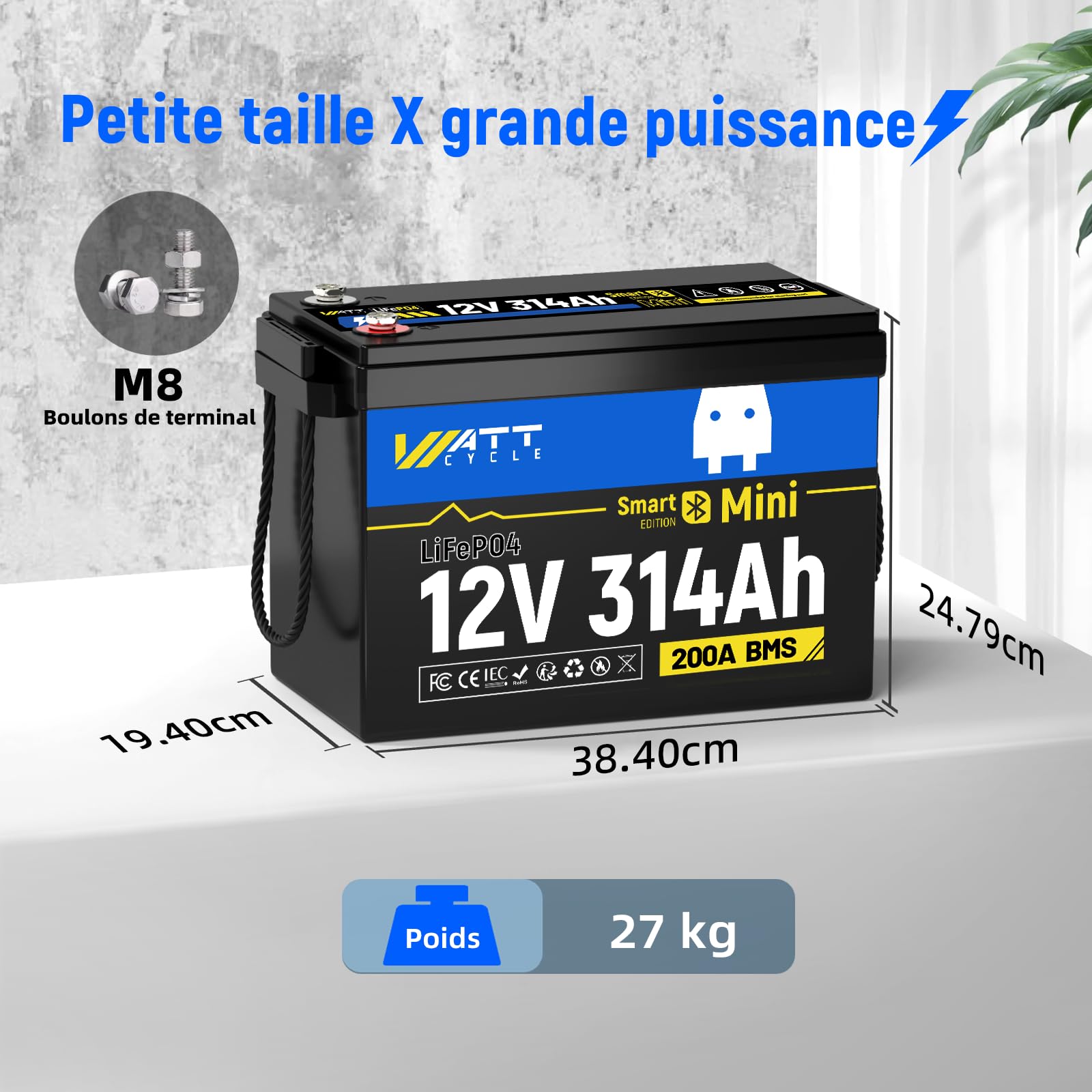 Pack de 2 Wattcycle Batteries Lithium 12V 314Ah LiFePO4 Bluetooth, Batteries Décharge Lente avec BMS 200A et Protection Anti-Froid, pour Solaire, Camping-Car et Marine