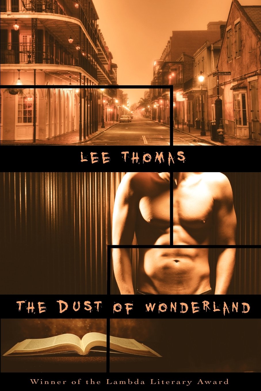 Buy The Dust of Wonderland — BookShops.in