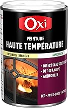 Peinture Température Absolue Noir Satin 250ML
