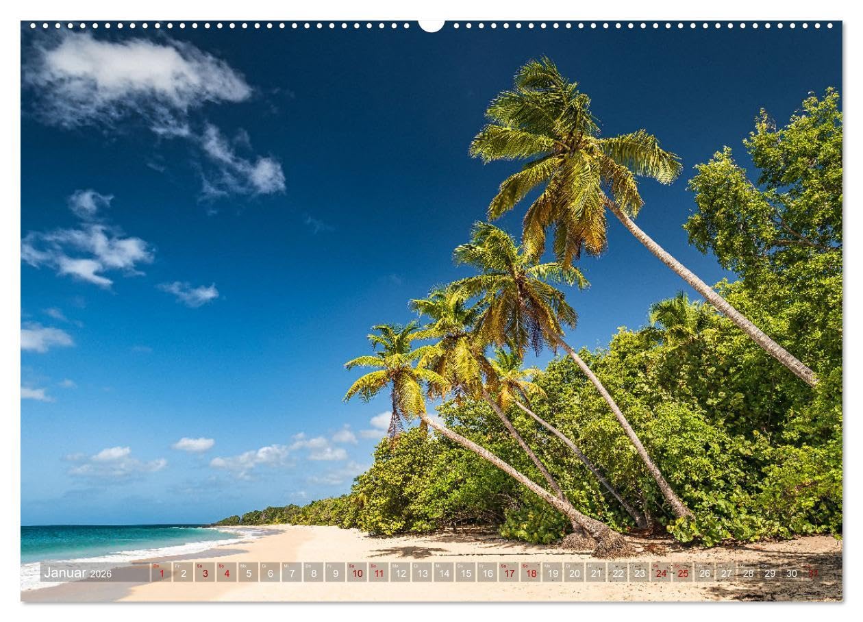 Karibik - Traumstrände (Wandkalender 2026 DIN A2 quer), CALVENDO Monatskalender: Sonne, Meer und karibische Traumstrände (CALVENDO Natur)