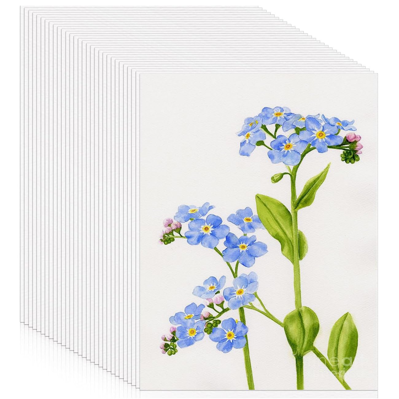 Papel de acuarela A5, 50 hojas de papel de acuarela de 300 g/m², para acuarelas, papel de dibujo blanco, para estudiantes, principiantes, papel de dibujo para acuarela, papel de acuarela (14,8 x 21