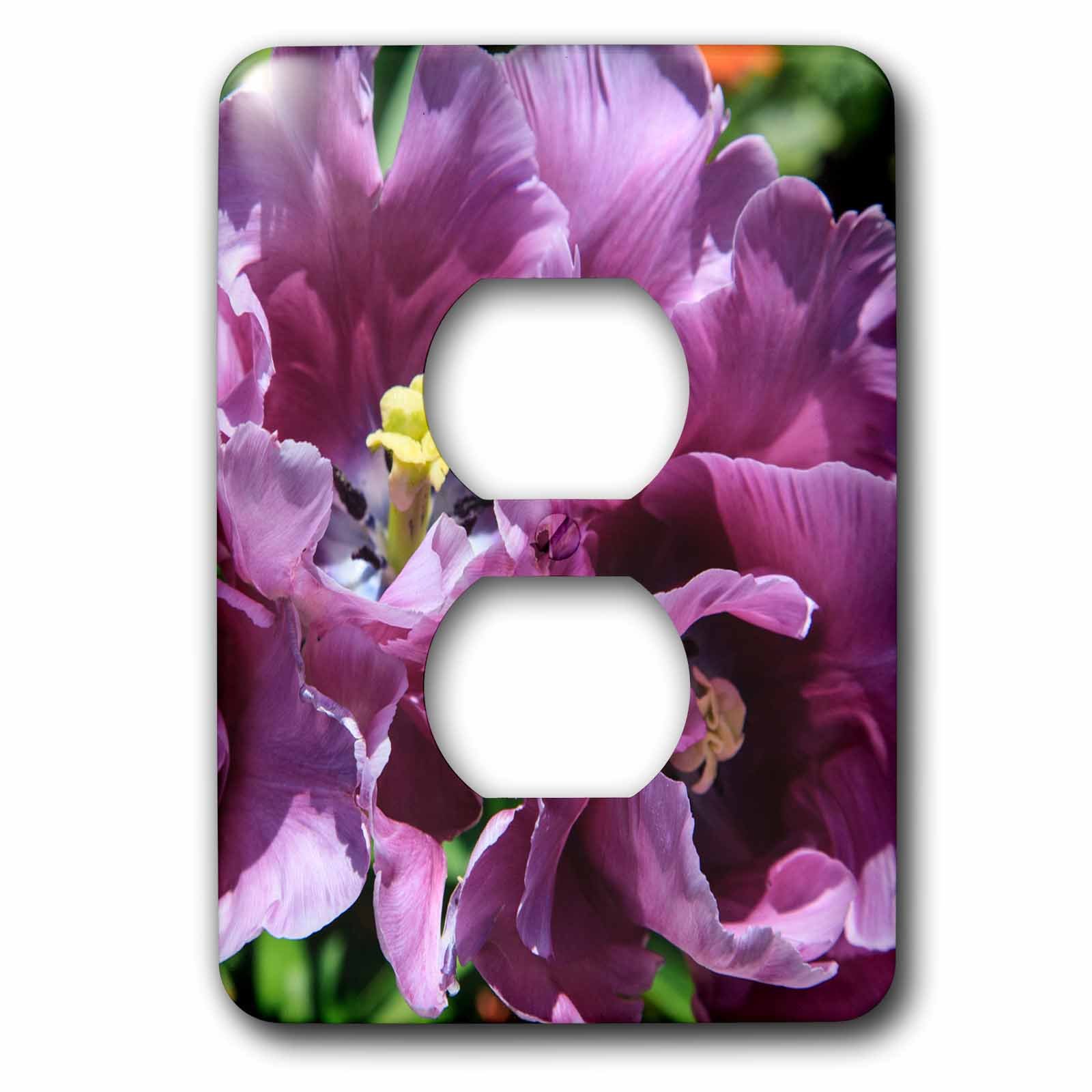 Tulipes lilas fleurissant dans le jardin public plaque 2 prises 3D Rose