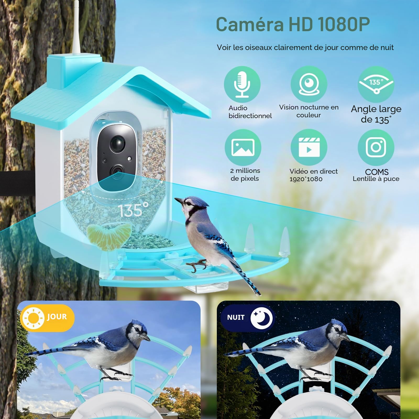 Mangeoire solaire pour oiseaux avec caméra, 1080p, résistante aux intempéries IP66, suivi AI de plus de 10 000 espèces d'oiseaux (bleu)