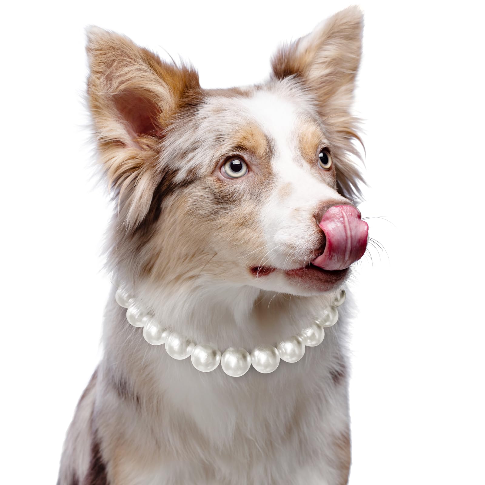 KUDES Exquisite and Adjustable Dog Necklace: Elegant Classic Pearl Collar Necklace Accessories for Dogs, Occasions and Gatherings (M(11.8-14.5 Inches)