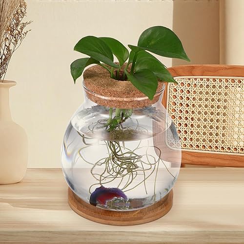 Miniatura 7 de balacoo Pecera de escritorio kit de tanque de acuario de peces de vidrio transparente con tapa de madera y cojín Estaciones de propagación de