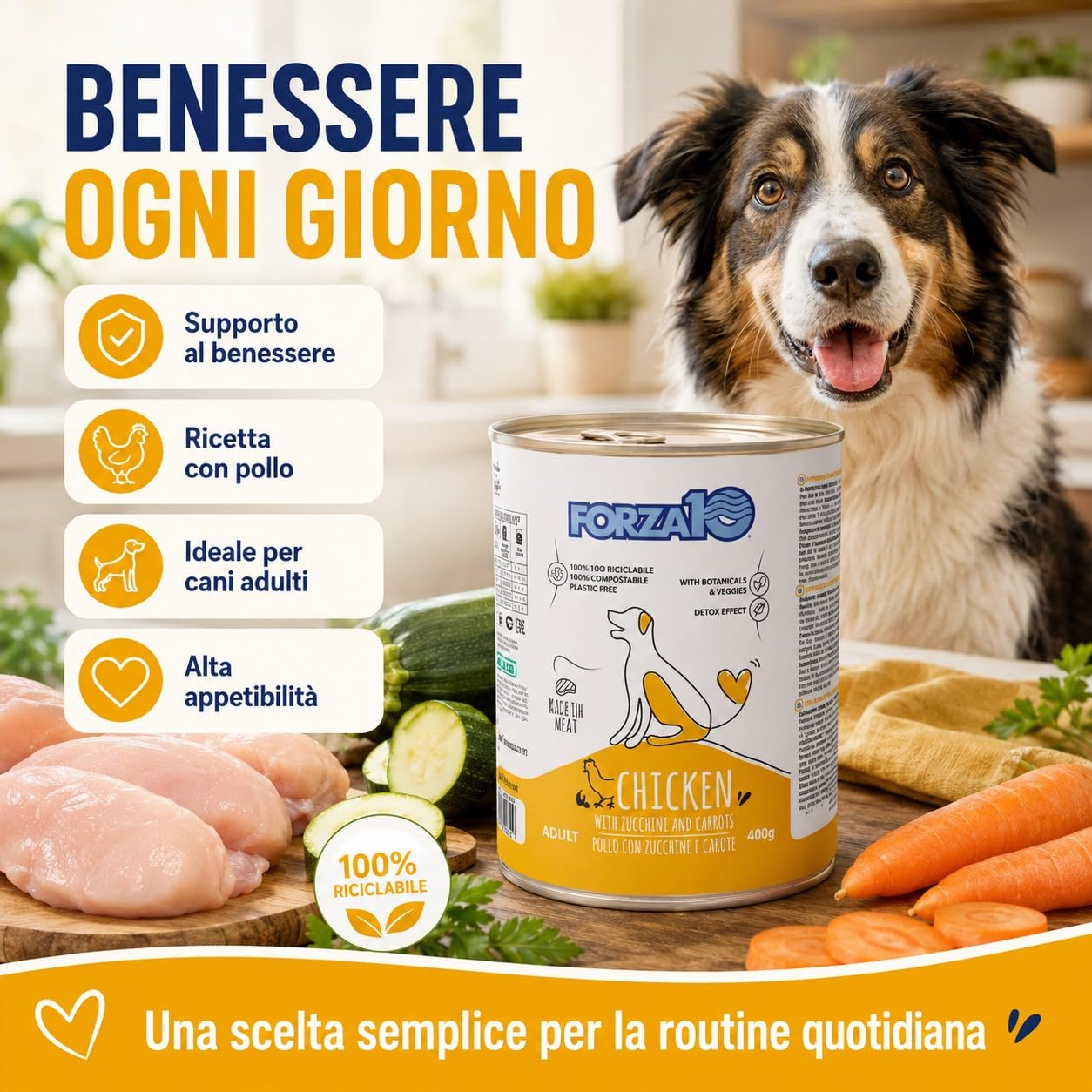 Pollo,Zucchine e Carote– Forza10 Cibo Umido per Cani Adulti di tutte le Taglie e Razze, Monoproteico, 12 Lattine x 400g, Alimento Completo Ricco in Carne.