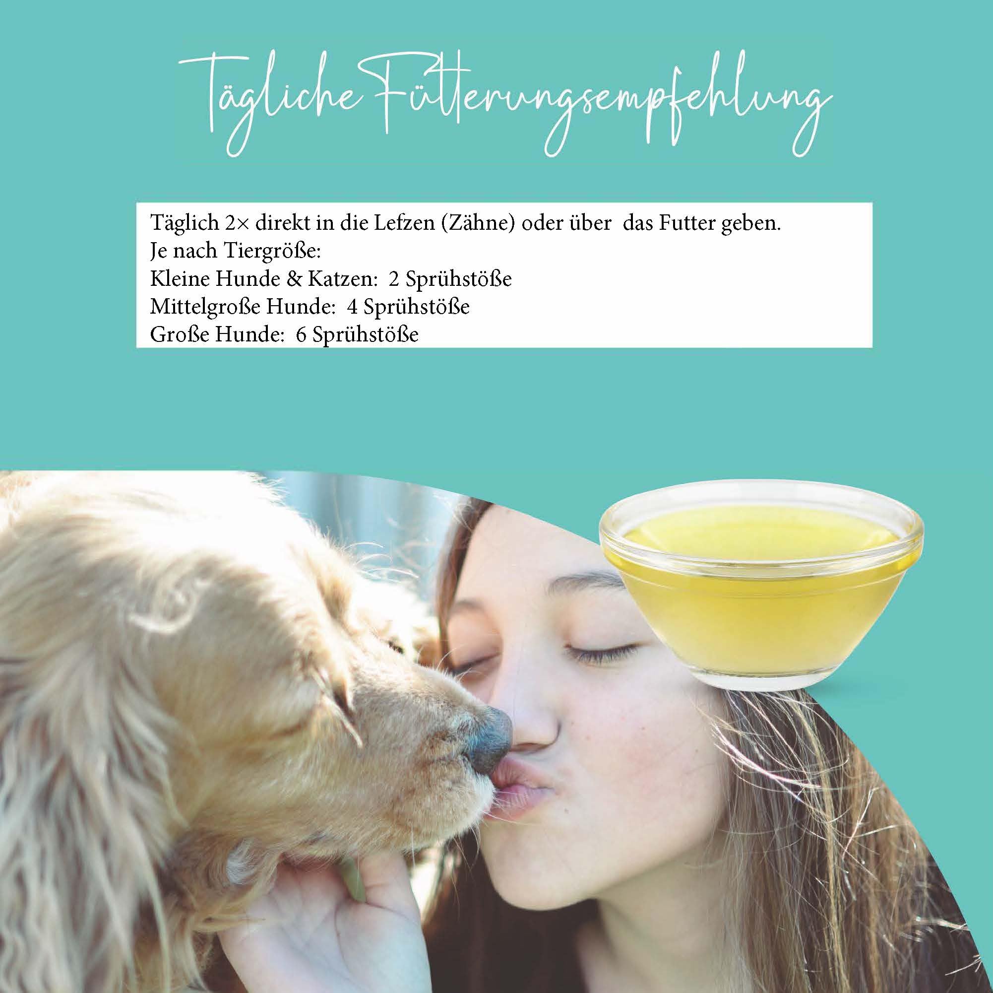 MEDIDOG Dental Fresh & Clean Dentalspray – Neue REZEPTUR - XL Packung 250ml – Zahnpflege für Hunde – Zahnsteinvorbeugung – frischer Atem