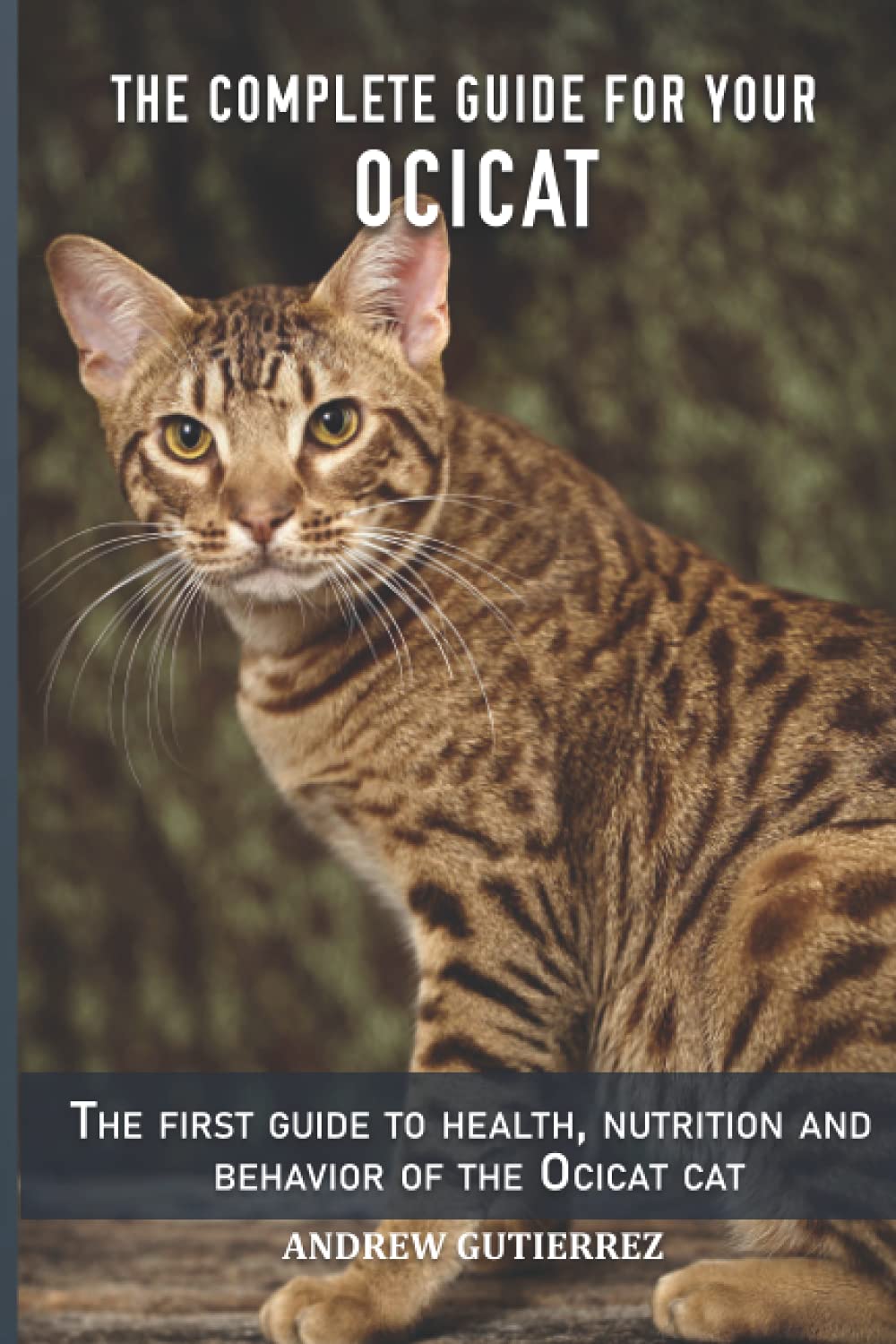 The complete guide for your Ocicat cat: The first guide to health, nutrition and behavior of the Ocicat cat