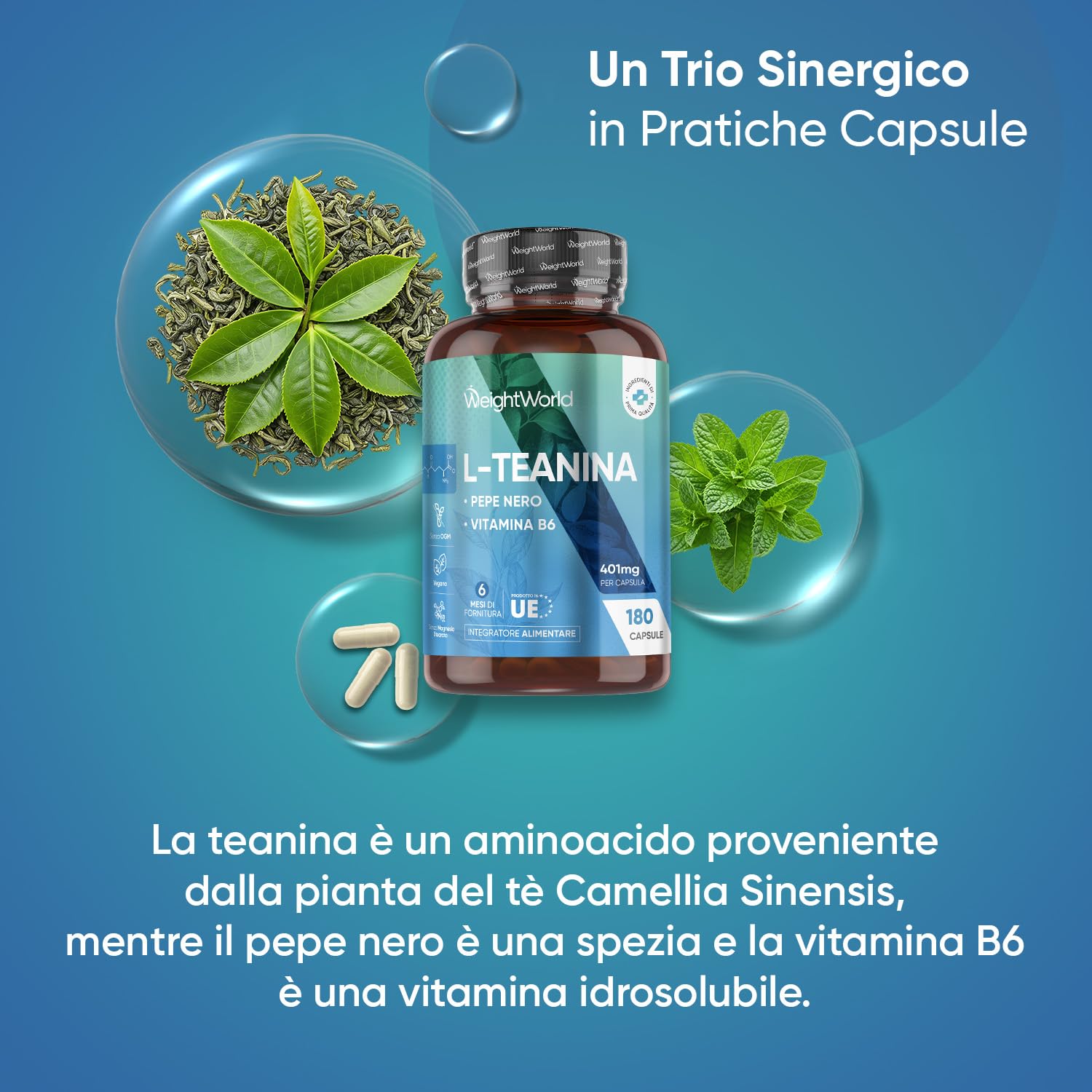 L Teanina 401mg, 180 Capsule Vegane, 1 al Giorno (6 Mesi di Scorta), L-Teanina Estratta dalla Camellia Sinensis con Pepe Nero e Vitamina B6, Aminoacido L Theanine da Tè Verde, Senza Magnesio Stearato