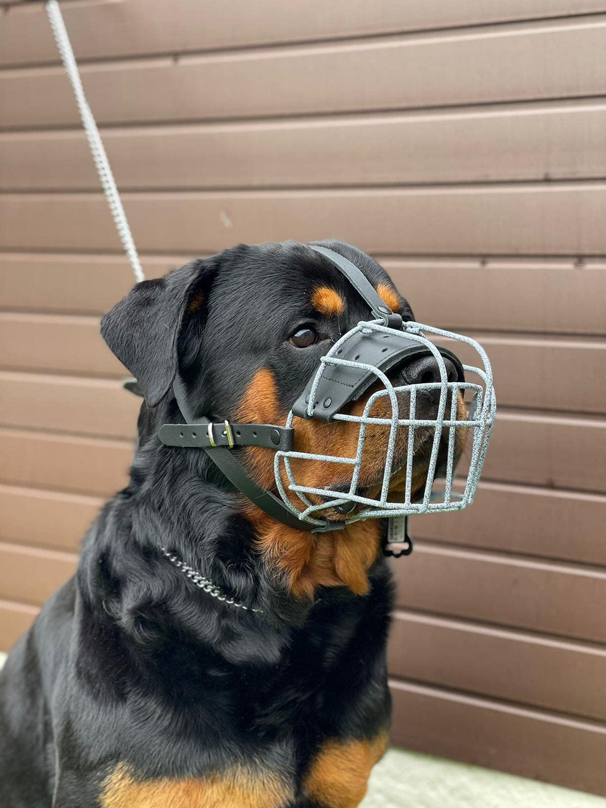 STRONG Wire Metal muzzle Basket Dog Muzzle Rottweiler,Mastiff Golden Retriever & other (R4, Spotted/Black leather)