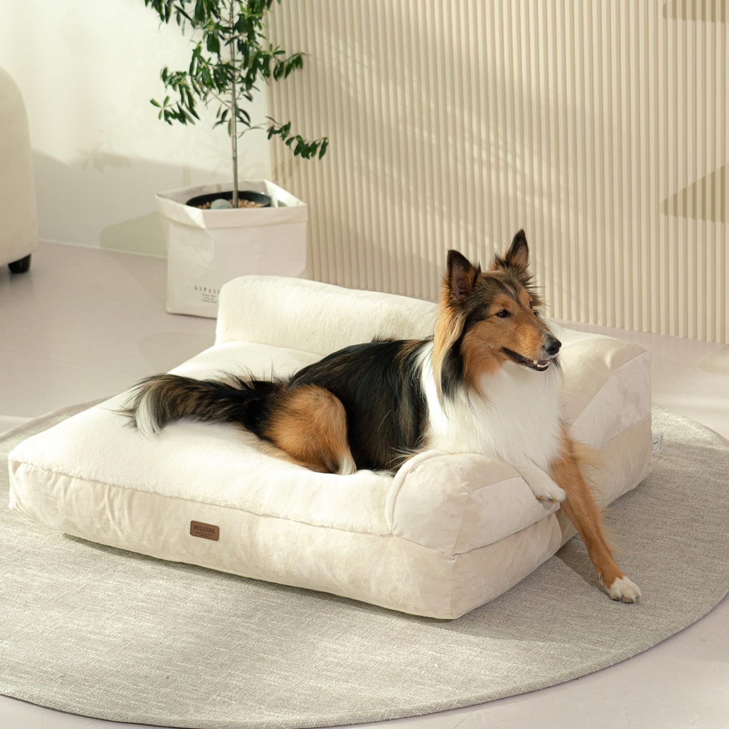 Orthopedic Dog Bed for Small Medium Large Dogs, Supportive Foam Pet Couch Bed with Removable Washable Cover, Waterproof Lining and Nonskid Bottom (Natural Beige, X-Large)