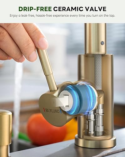 Miniatura 5 de BLYLUND Grifos de cocina con dispensador de jabón, grifo de cocina dorado cepillado con rociador desplegable 3 modos, grifos de fregadero de cocina