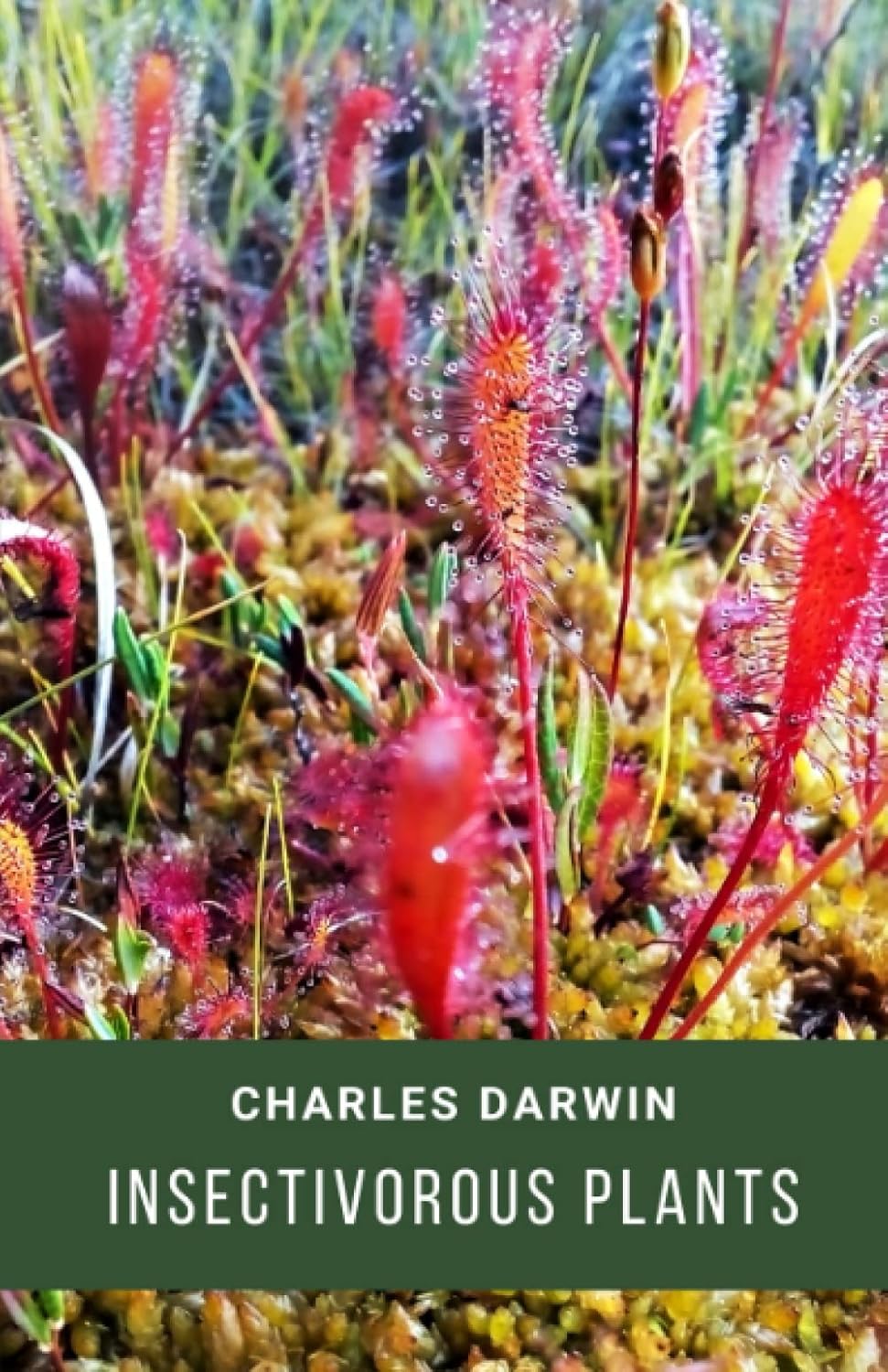 Insectivorous Plants (Annotated) Darwin, Charles 9798365634916
