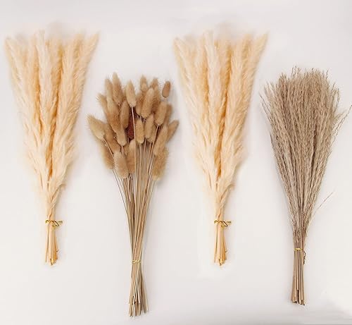 Miniatura 11 de Decoración de hierba seca de las pampas, 120 piezas de hierba de las pampas con colas de conejo, ramo de hierba de caña para bodas, flores bohemias